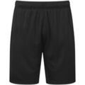 Short sur Grenoble : Short Tridri Ion-Charge