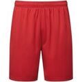 Short sur Grenoble : Short Tridri Ion-Charge