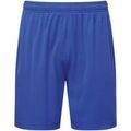 Short Tridri Ion-Charge