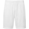 Short sur Grenoble : Short Tridri Ion-Charge