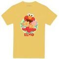 T-shirt Sesame Street Flowers For You Grenoble