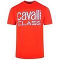 Tee-shirts sur Grenoble : T-shirt Roberto Cavalli SY314
