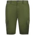 Shorts/Bermuda sur Grenoble : Short Tommy Hilfiger SY2296