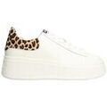 Baskets femme sur Grenoble : Baskets basses Ash Baskets Moby L&eacute;opard Blanc
