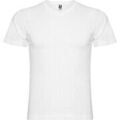 Tee-shirts sur Grenoble : T-shirt Roly Samoyedo