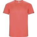 Tee-shirts sur Grenoble : T-shirt Roly Imola
