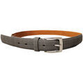 Ceintures sur Grenoble : Ceinture Forest M 1781
