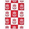 Plaids, jet&eacute;s Liverpool Fc 150 cm x 100 cm TC607 Rouge Unique. . Maison & D&eacute;co > Plaids, jet&eacute;s. Grenoble
