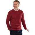 Pull Woolovers WL205