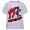 T-shirt Marvel TV30200 Grenoble