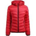 Vestes sur Grenoble : Veste Printer PE2261078