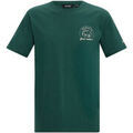 Tee-shirts sur Grenoble : T-shirt Regatta Cline IX