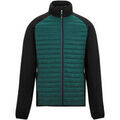 Veste Regatta Clumber
