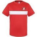 Tee-shirts enfants sur Grenoble : T-shirt enfant Sunderland Afc GF518