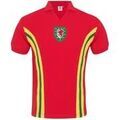 Polos sur Grenoble : Polo Fa Wales 1976 John Toshack