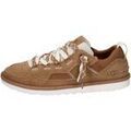 Baskets basses UGG -