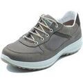 Baskets basses Grisport 8691NV 13MT Visone