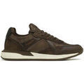 Baskets basses Redskins Baskets marron PESARO