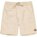 Shorts/Bermuda sur Grenoble : Short Billabong Larry 20"