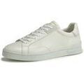 Baskets homme sur Grenoble : Baskets basses Redskins Baskets hes TESSIN