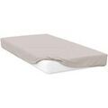 Draps housse Belledorm Kingsize BM113