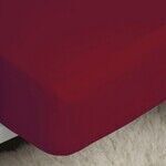 Draps housse Belledorm Double BM171