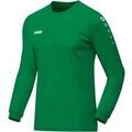 Tee-shirts sur Grenoble : T-shirt Jako Team