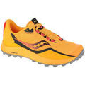 Chaussures Saucony Peregrine 12