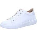 Ville basse Lloyd -