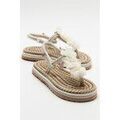 Tee-shirts sur Grenoble : T-shirt Prologue Shoes -