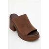 Mules Forever & Always Shoes -