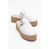 Mules Forever & Always Shoes -