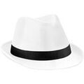 Chapeaux sur Grenoble : Chapeau Beechfield L-XL BC5279