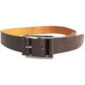 Ceintures sur Grenoble : Ceinture Forest 2XL 1782