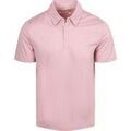 Polos sur Grenoble : Polo R2 Amsterdam Polo Rose