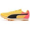 Chaussures Puma Evospeed Star 9