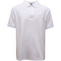 Polo Blauer -