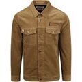 Sweat-shirt Scotch & Soda Surchemise Corduroy Marron