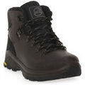 Randonn&eacute;e sur Grenoble : Chaussures Jacalu V1J Marron