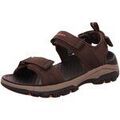Randonn&eacute;e sur Grenoble : Chaussures Skechers - Marron