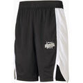 Shorts/Bermuda sur Grenoble : Short Puma -