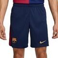 Shorts/Bermuda sur Grenoble : Short Nike 2024/25 Stadium Domicile