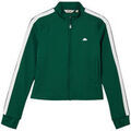 Vestes sur Grenoble : Veste Ellesse Banff