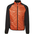 Vestes sur Grenoble : Blouson Id ID374