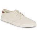 Baskets basses Toms CARLO