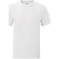 T-shirt Fruit Of The Loom Iconic
