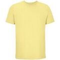 Tee-shirts sur Grenoble : T-shirt Sols Legend