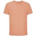 Tee-shirts sur Grenoble : T-shirt Sols Legend