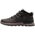 Bottes homme sur Grenoble : Bottes Timberland Sprint Trekker