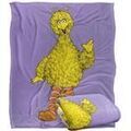 Linge de maison sur Grenoble : Couvertures Sesame Street TV18503